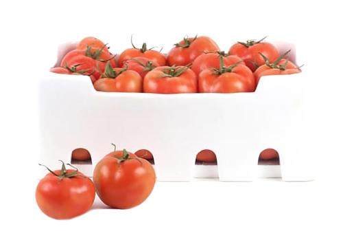 طماطم فلين 2ك مزرعة السلوى الزراعية