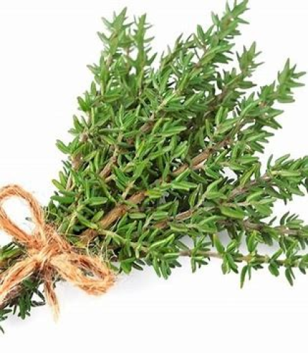 Organic thymeحزمة المزرعة التقنية (تكنوفارم)