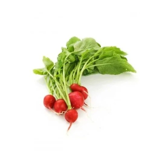 فجل عضوي كيلو جرام المزرعة التقنية (تكنوفارم)