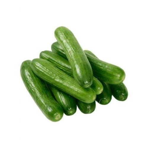 خيار عضوي كيلوجرام المزرعة التقنية (تكنوفارم)