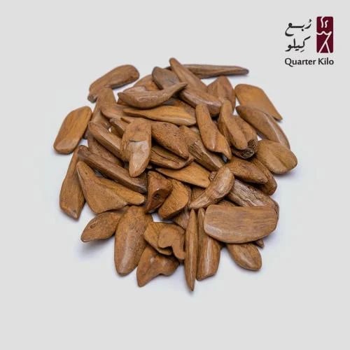 Moroccan oud of the elders
