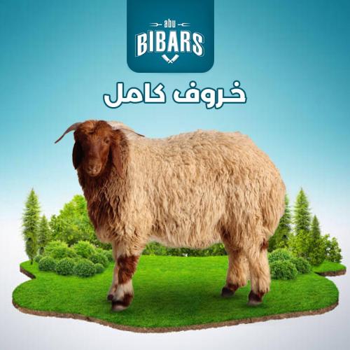 خاروف نعيمي كامل ( 15 - 17 كيلو )