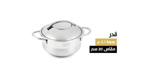 قدر مقاس 20 سم (بغطاء ستانلس)