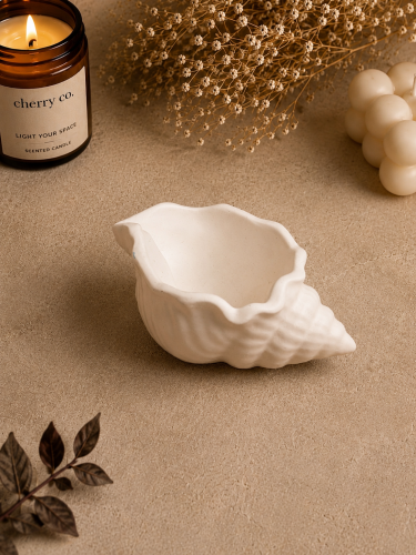 صدف البحر | Sea shell