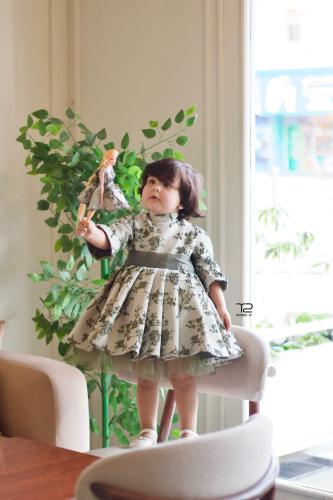 فستان بتصميم ملكي green