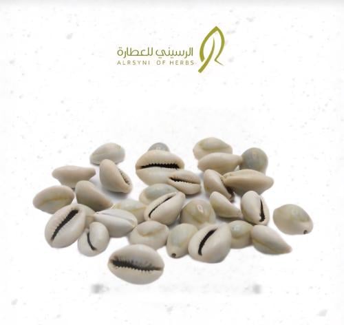 الودع المغربي