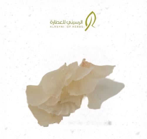 كثيرة للشعر