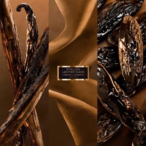 عطر ستاليون ليذر من كارولينا هيريرا او دو بارفيوم...