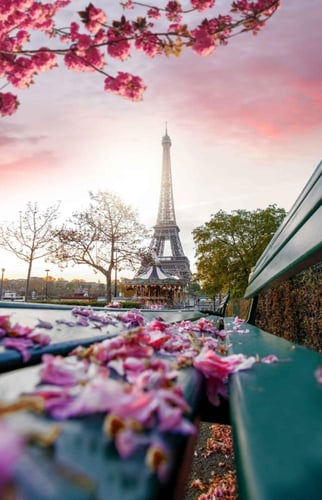 عطر كلك فلور لو أورجينال من هوبيجانت