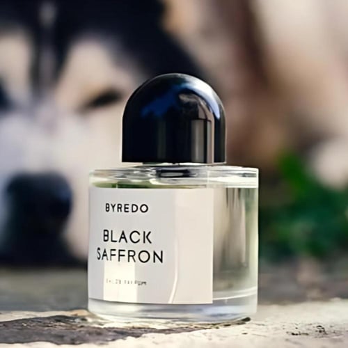 عطر بايريدو بلاك سافرون او دو بارفيوم 100 مل(تستر)