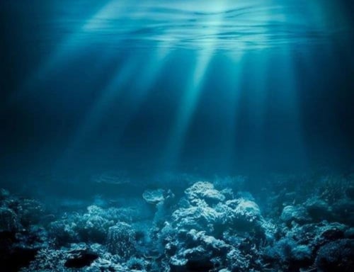 عطر هوبيجانت امبر دي ابيسيز 100 مل