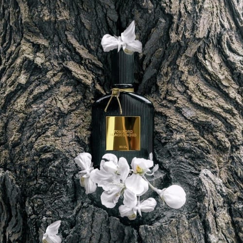 عطر توم فورد بلاك اوركيد او دو بارفيوم 100 مل