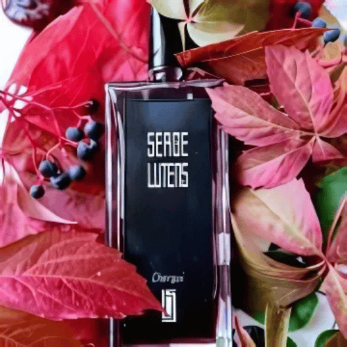 عطر شيرغي من سيرج لوتانس اودو بارفيوم – 100 مل