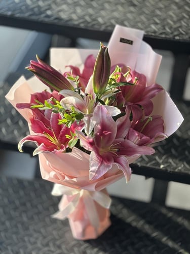 كازابلانكا 2