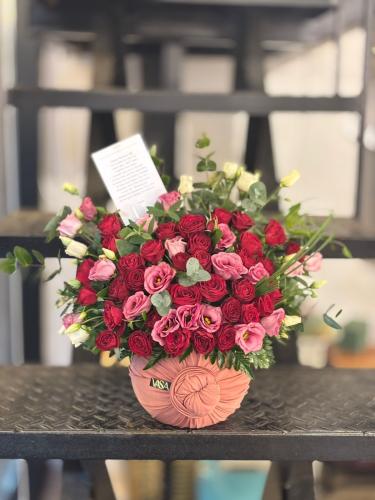 حته من ألبي فوشي