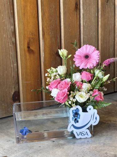 فازة دانه (سمك الفايتر) (امكانية تغيير الاسم)