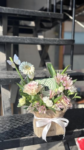 لايت بترفلاي باتشي