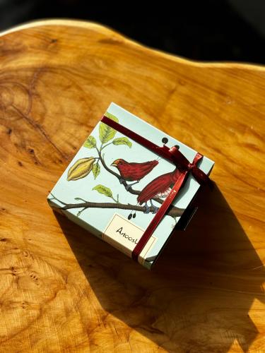 شوكلت انوش ( ٤ قطع)