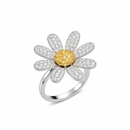 DAISY