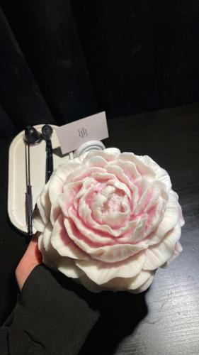 الورده للعملاقه