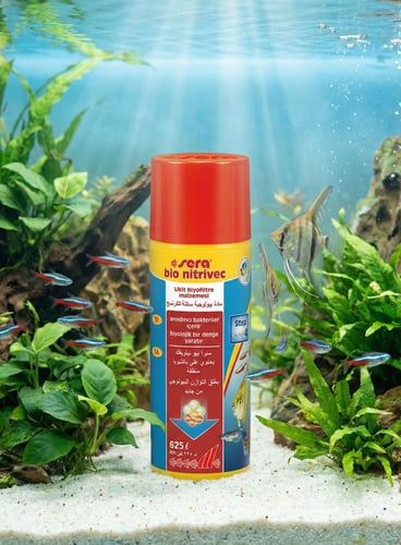 سيرا بيو نيتريفك كبير