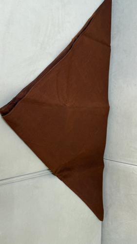 مصدع الحجاز ( مصدع البطن)