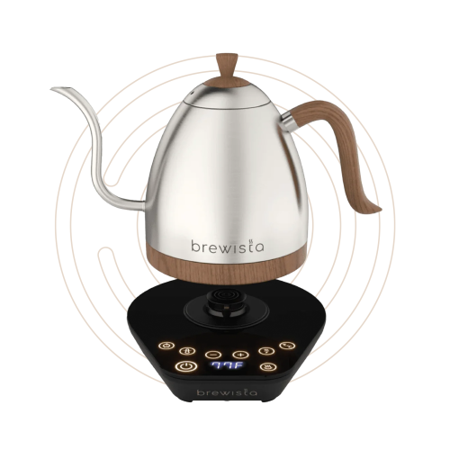 برويستا غلاية ماء كهربائية 600 مل فضي