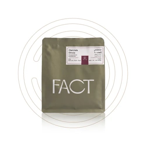FACT - شلشلي اثيوبيا 250 جرام