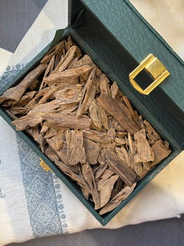 ارياني اشهب جزل