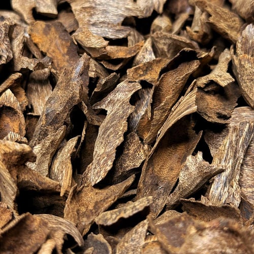 لاوسي الشايب