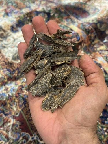 تراكان ناهي