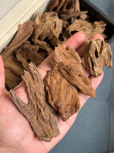 جابورا غابات