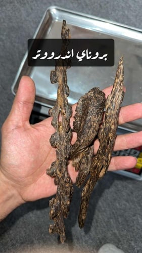 قطع الماس من البروناي 85.9g