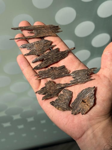 بروناي الذهب