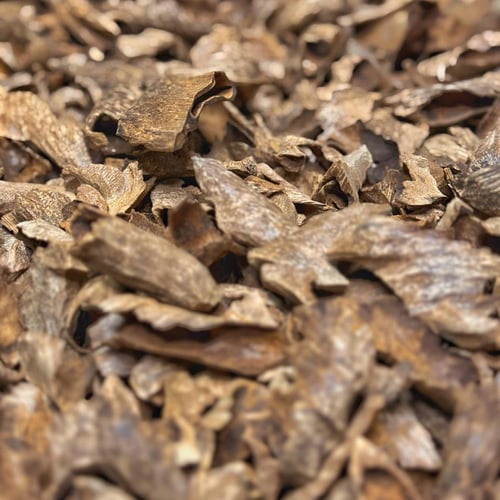 لاوسي الشايب