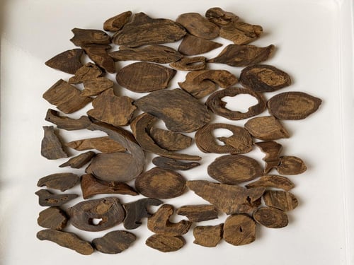 (نوادر) موروكي قص صيني