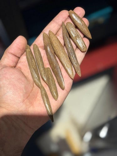 اقلام اصقون اندرووتر 12g