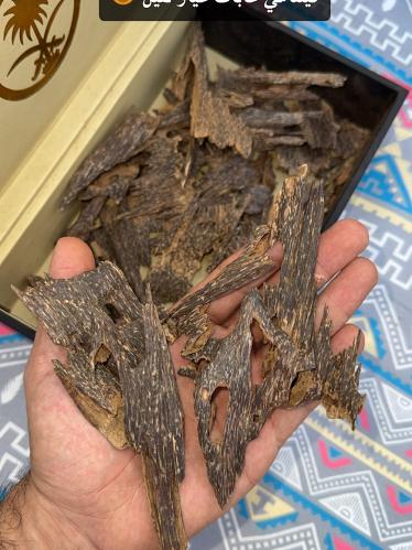 فيتنامي غابات نسبة اندرووتر