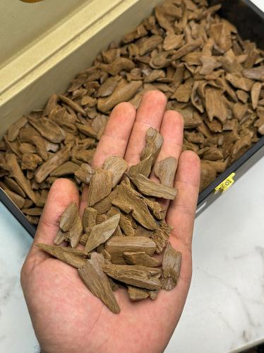 موروكي دقة الذهب