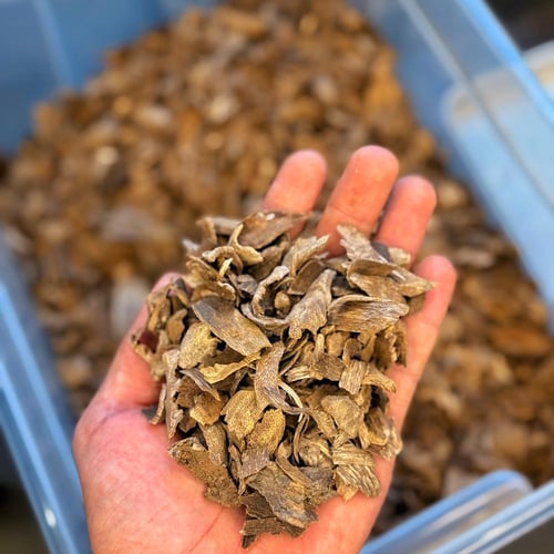 دقة لاوسي الشايب