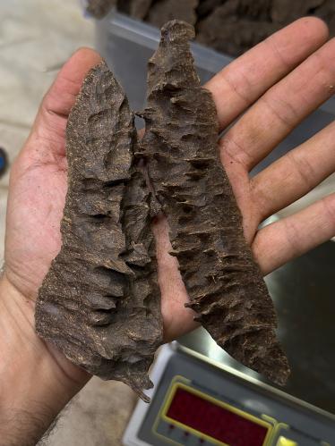 تشار هاي ماونتن