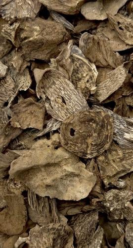 سيلاني ادمز فاخر ميني