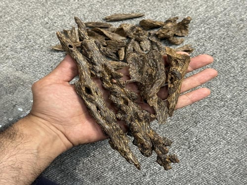 قطع الماس من البروناي 85.9g