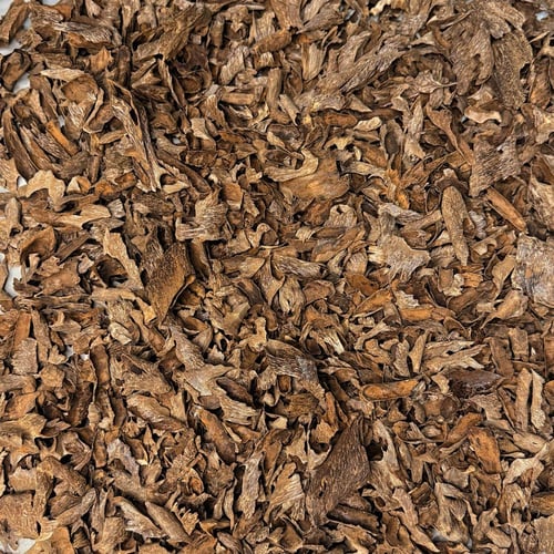 لاوسي الشايب