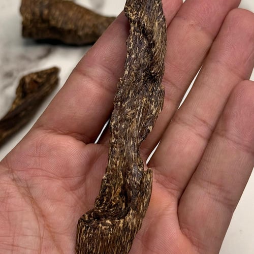 30 جرام ماليزي ترنقانو اندرووتر