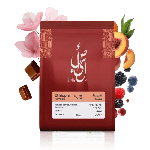 إثيوبيا - هامبيلا