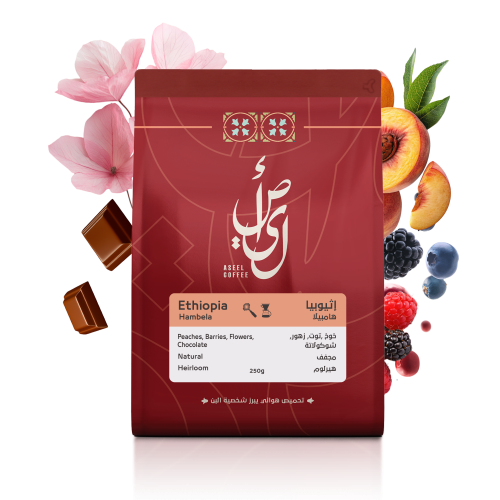 إثيوبيا - هامبيلا