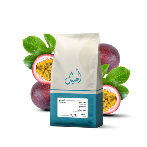 فيلبي أرسيلا - باشن فروت