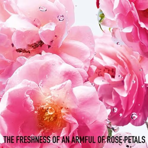 كريستيان ديور ميس ديور روز ان روز - أو دي تواليت (...