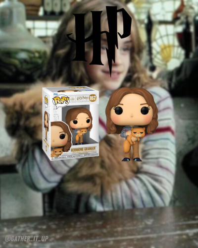 Hermione with Crookshanks